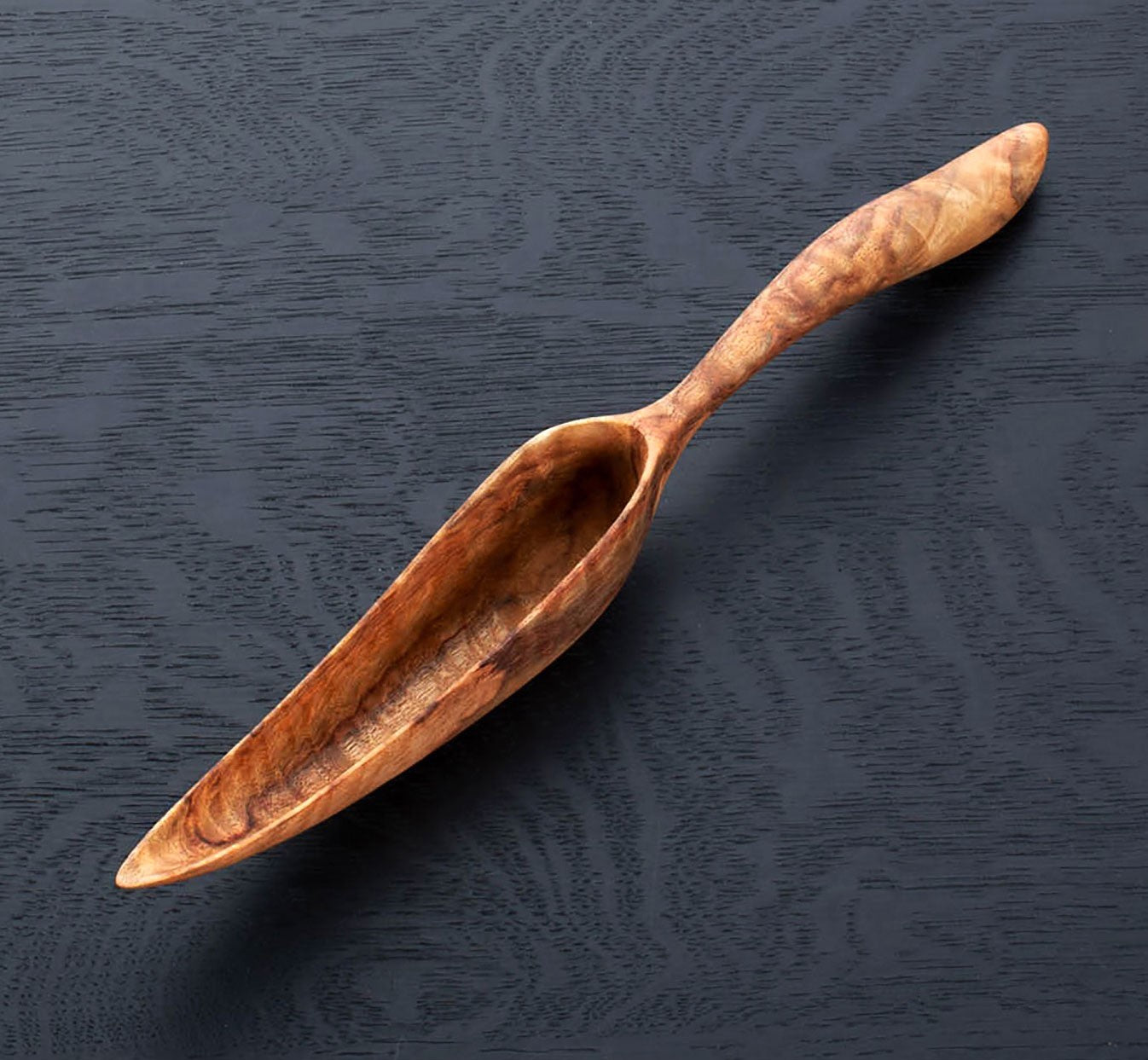 Camphor Laurel Scoop