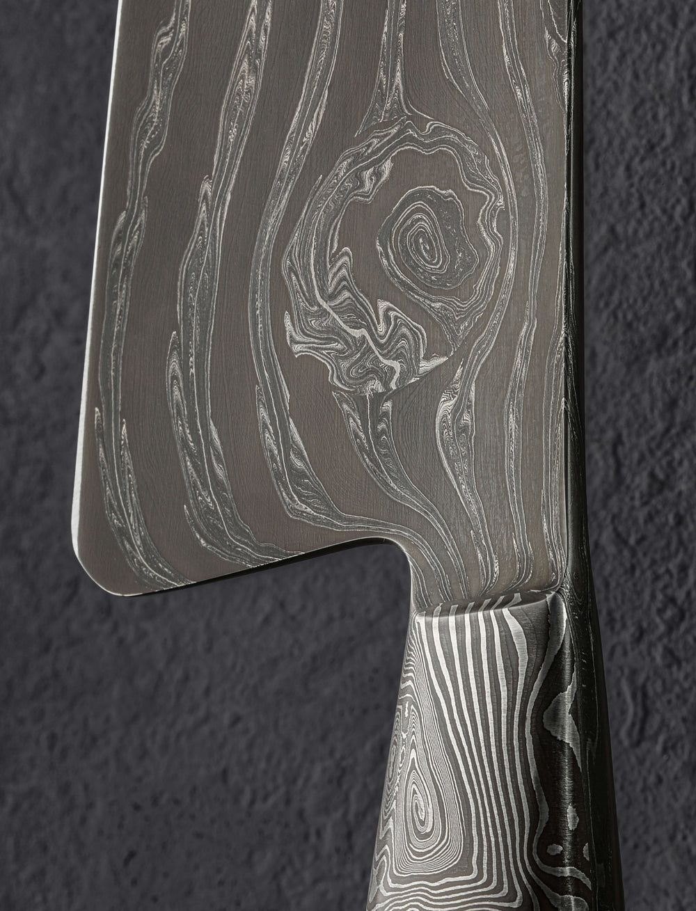 Joshua Prince - Rhode Island Chef & Gyuto Prince Nautilus Chef 245mm