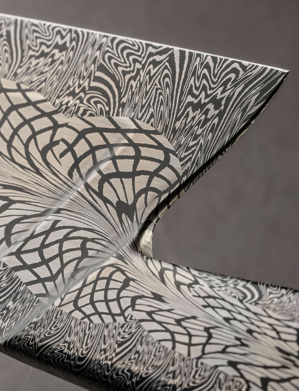 Salem Straub - Washington Chef & Gyuto Dragonfly Feathers Chef 270mm