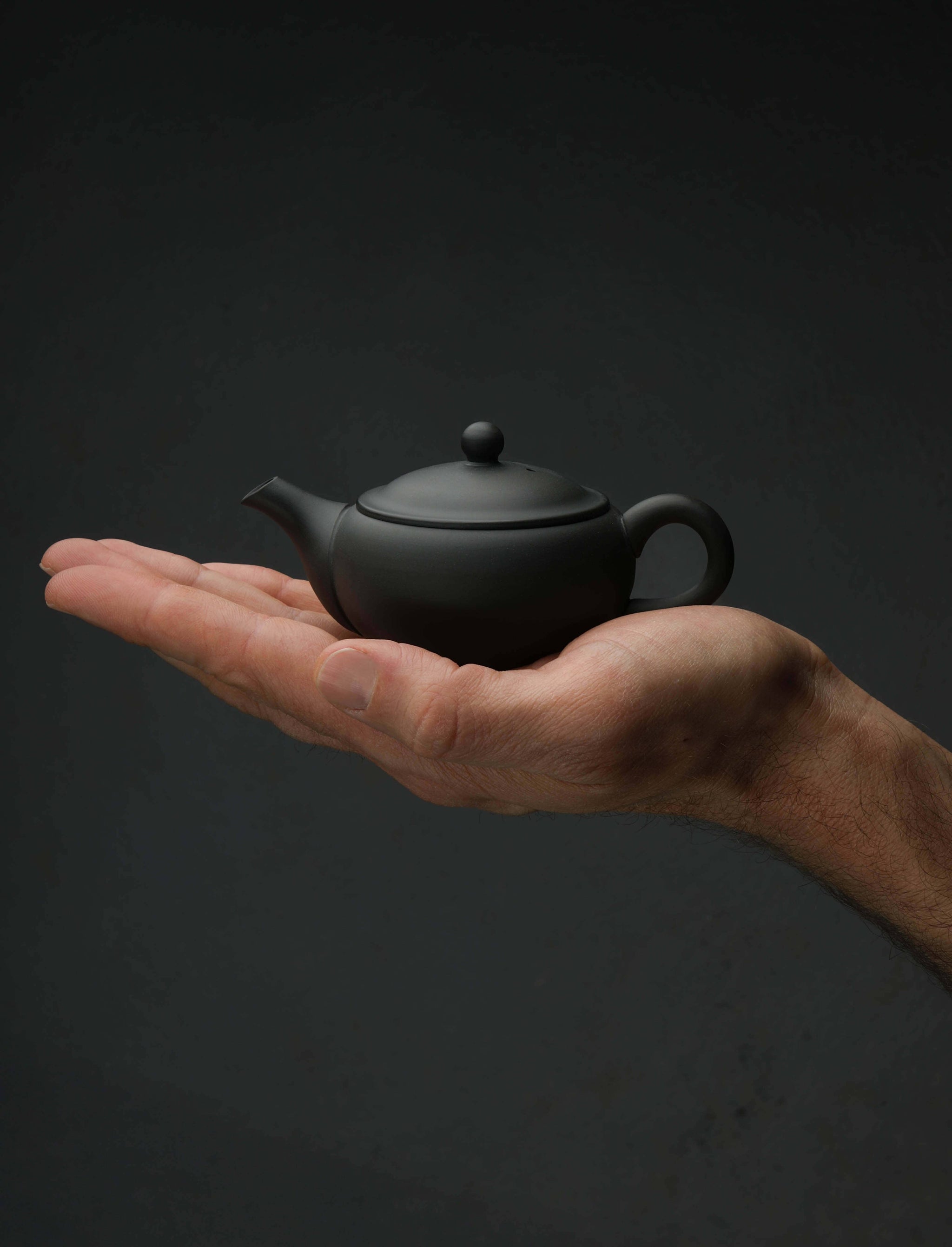 Azmaya - Japan Barware Azmaya Back Handle Clay Kyusu
