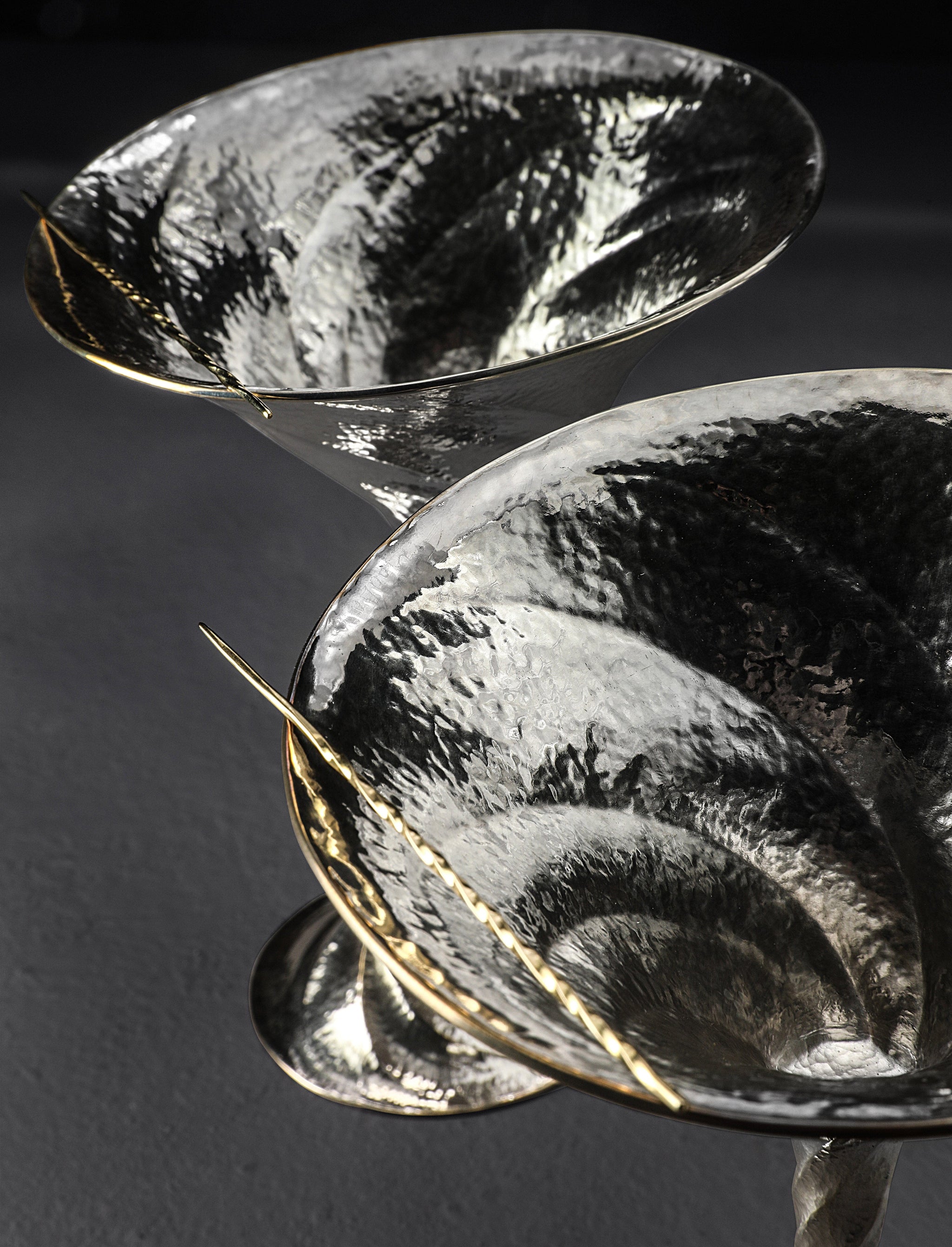 Saign Charlestein - Washington Barware Silver Vortex Martini Set