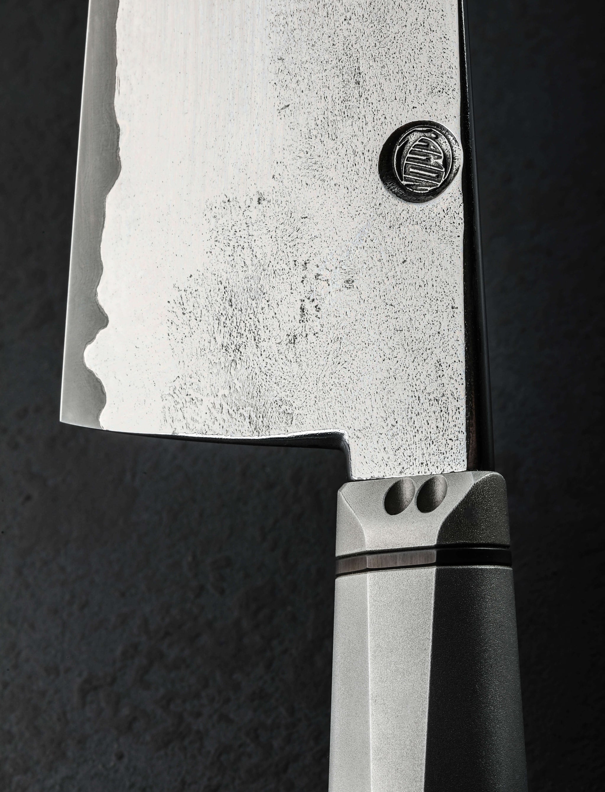 Benjamin Kamon - Austria Chef & Gyuto Stainless Go Mai Chef 248mm