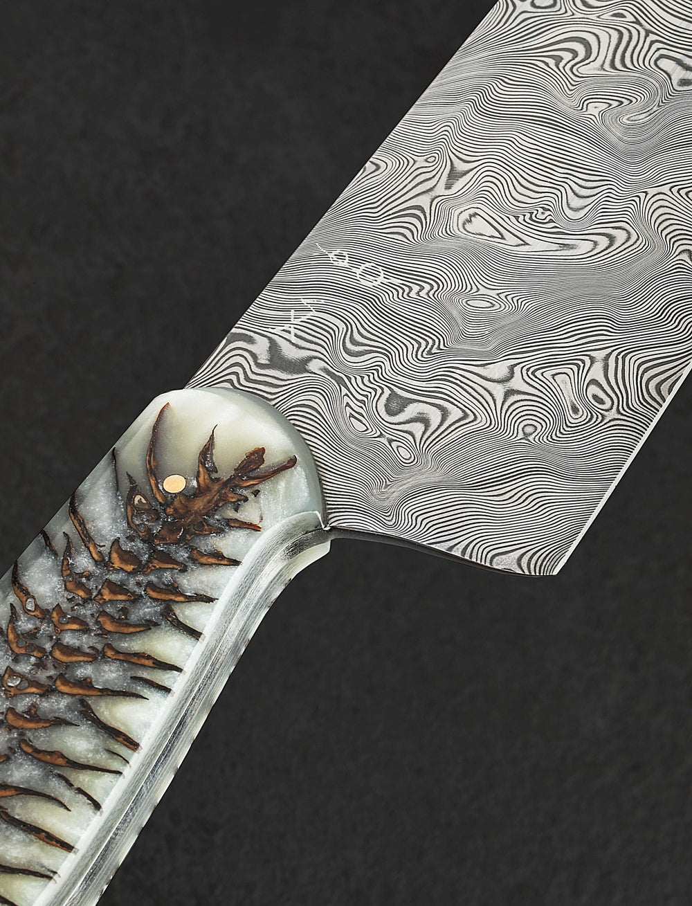 Don Carlos Andrade - California Chef & Gyuto Spruce Cone French Chef 211mm