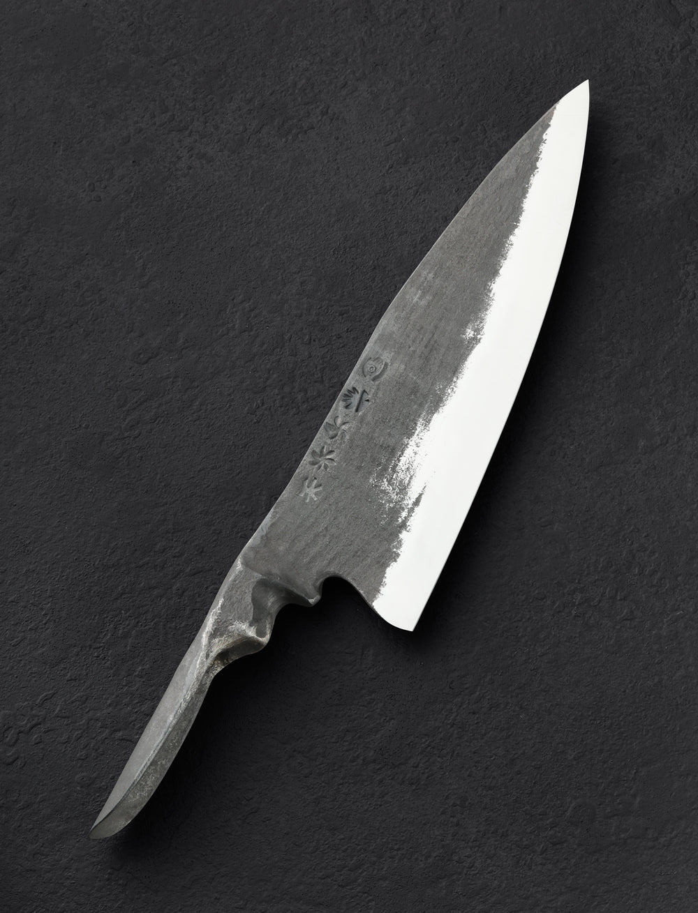 Joshua Prince - Rhode Island Chef & Gyuto Steel Titan Chef 235mm