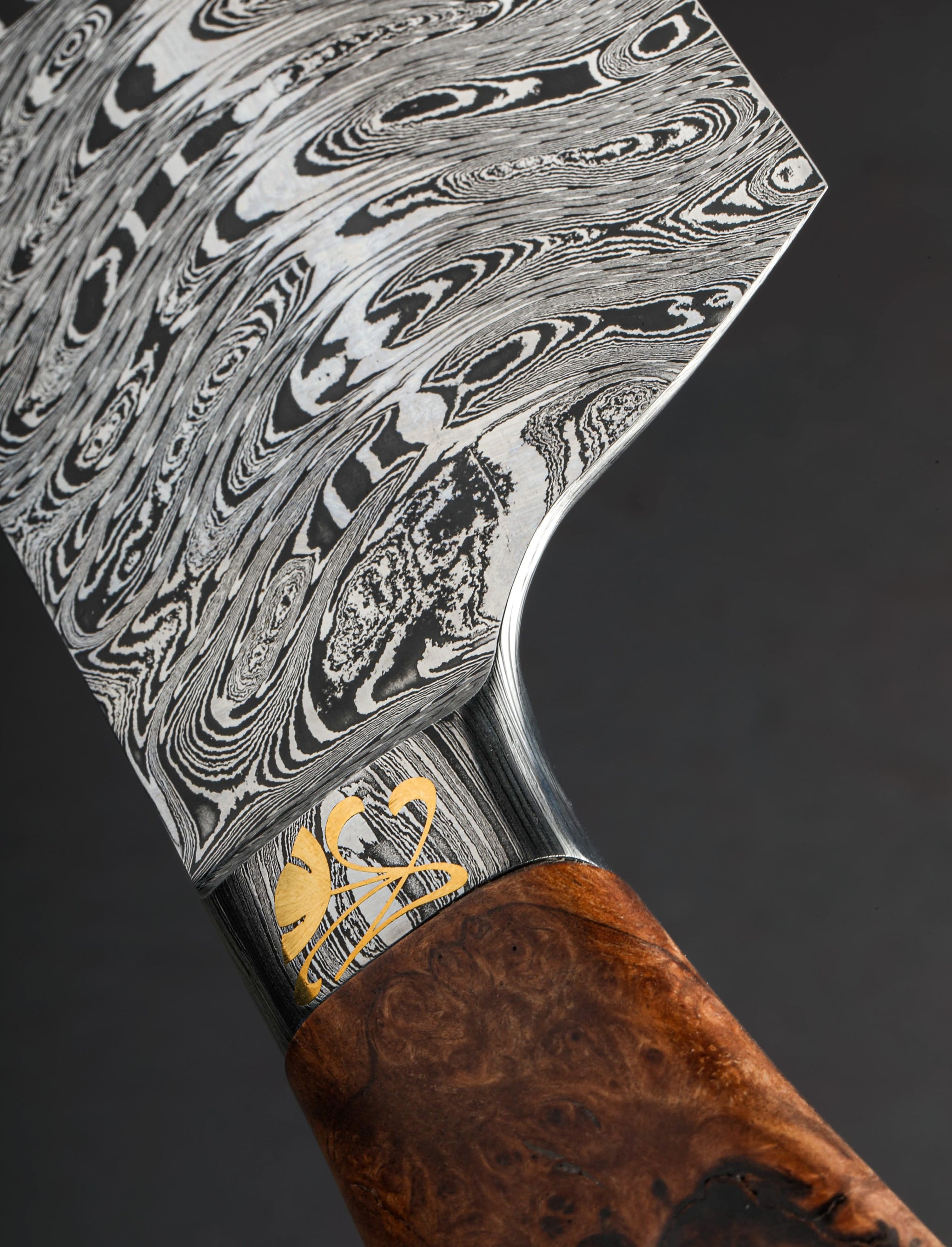 Luiz Gustavo Gonçalves - Brazil Chef & Gyuto Golden Ginko Chef 252mm