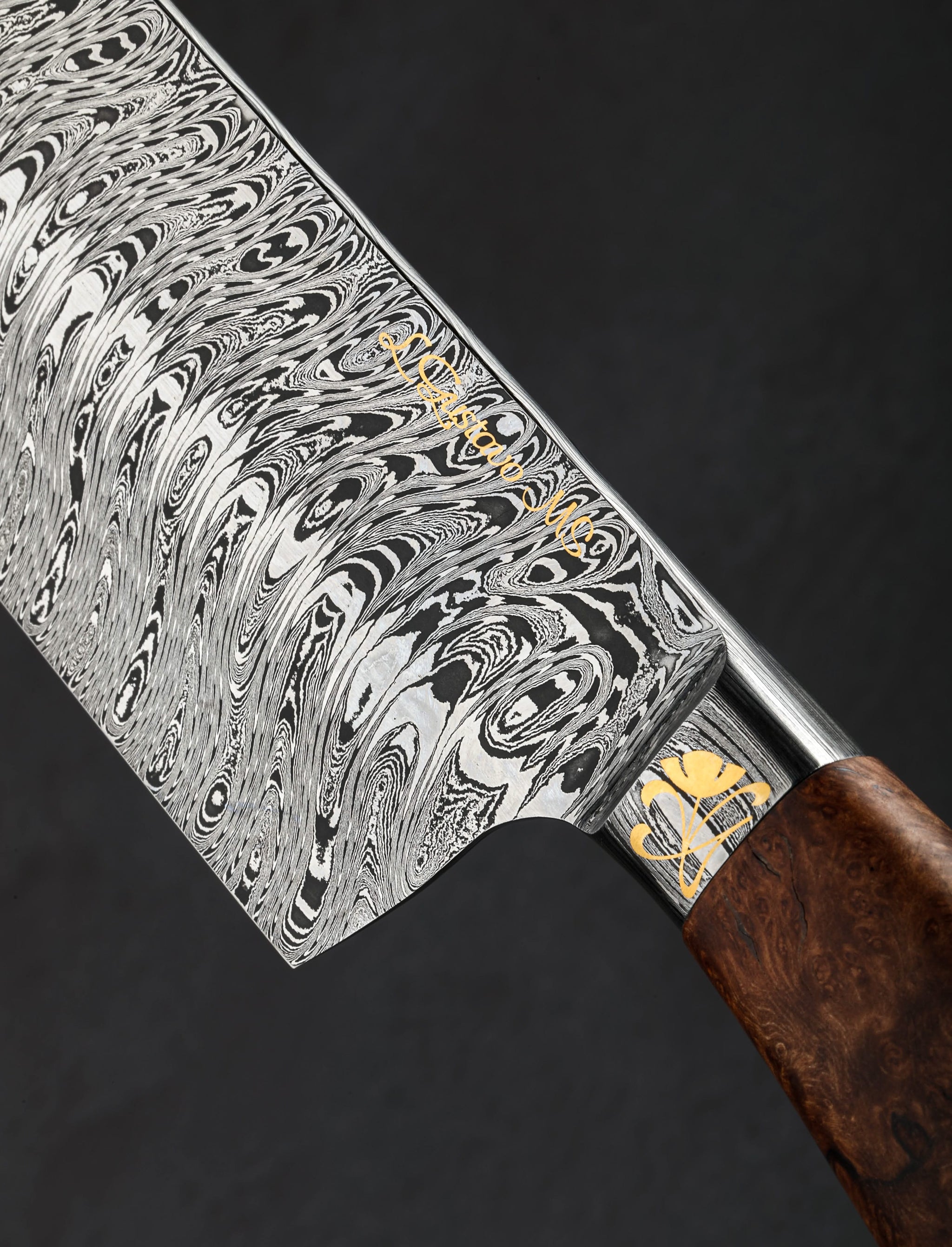 Luiz Gustavo Gonçalves - Brazil Chef & Gyuto Golden Ginko Chef 252mm