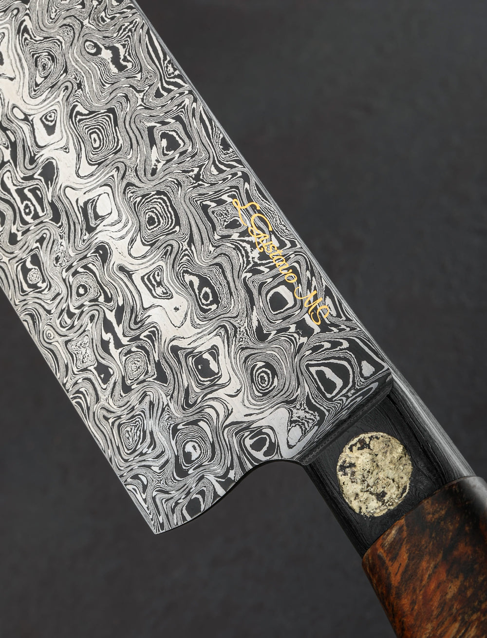 Luiz Gustavo Gonçalves - Brazil Chef & Gyuto Golden Moonlight Chef 240mm