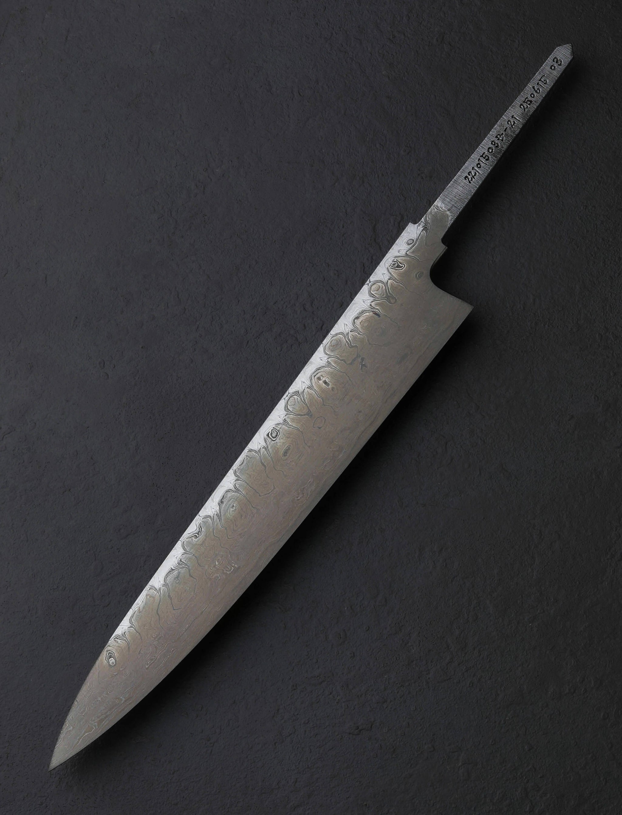 Shoichi Hashimoto - Japan Chef & Gyuto Chihaya Sujihiki 270mm