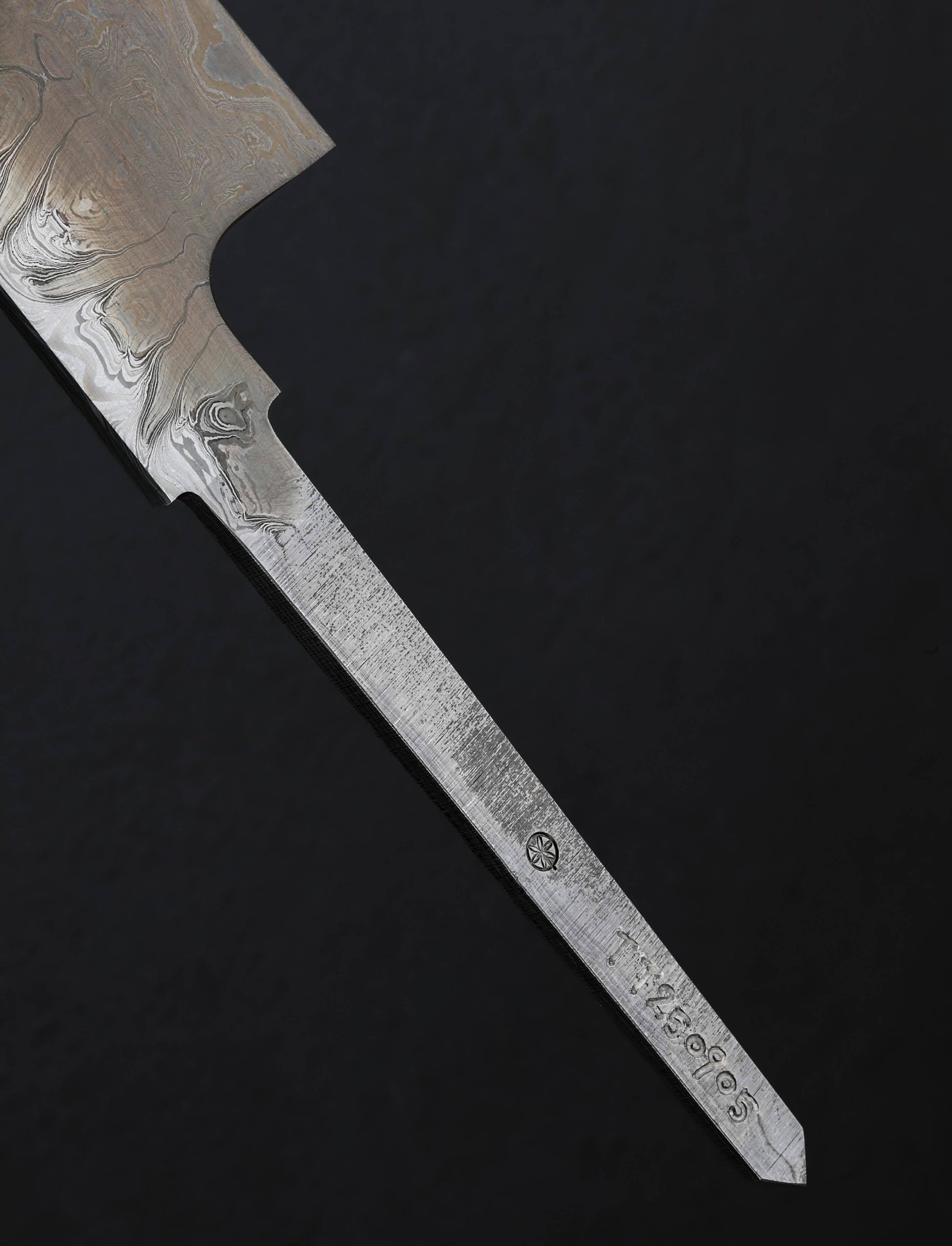 Shoichi Hashimoto - Japan Chef & Gyuto Chihaya Sujihiki 270mm