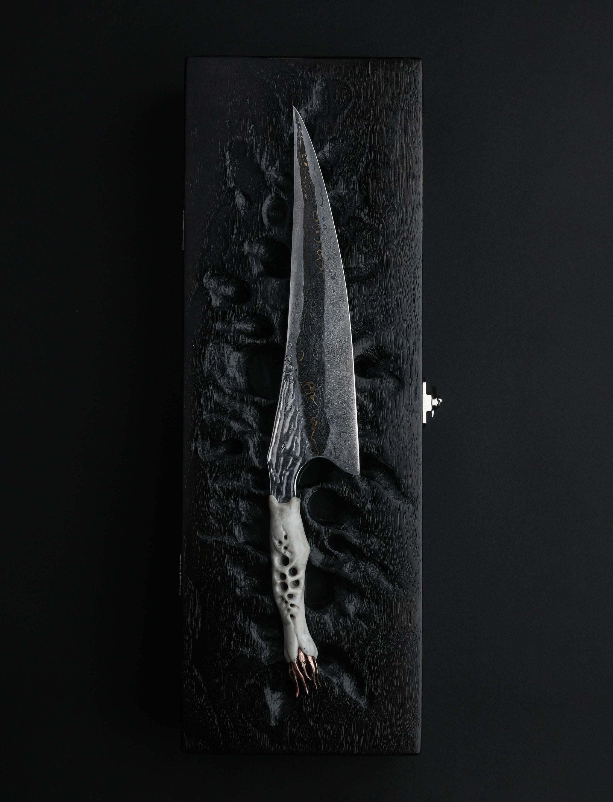 Tristan Dare - Idaho Chef & Gyuto Arche Meteorite Chef 216mm