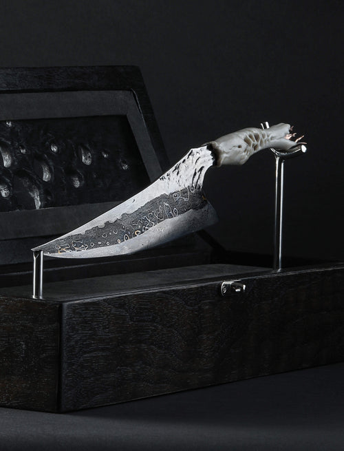 Tristan Dare - Idaho Chef & Gyuto Arche Meteorite Chef 216mm