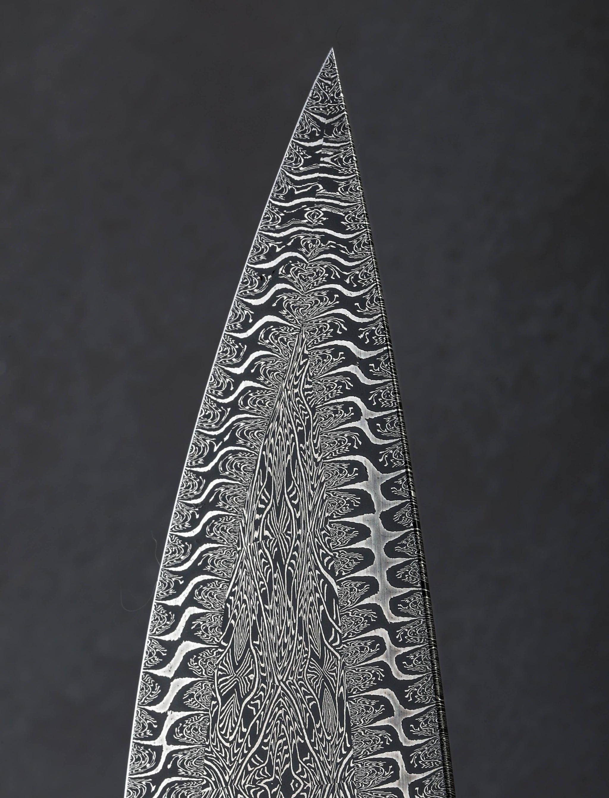 William Porto - Brazil Chef & Gyuto Golden Aqua Chef 226mm