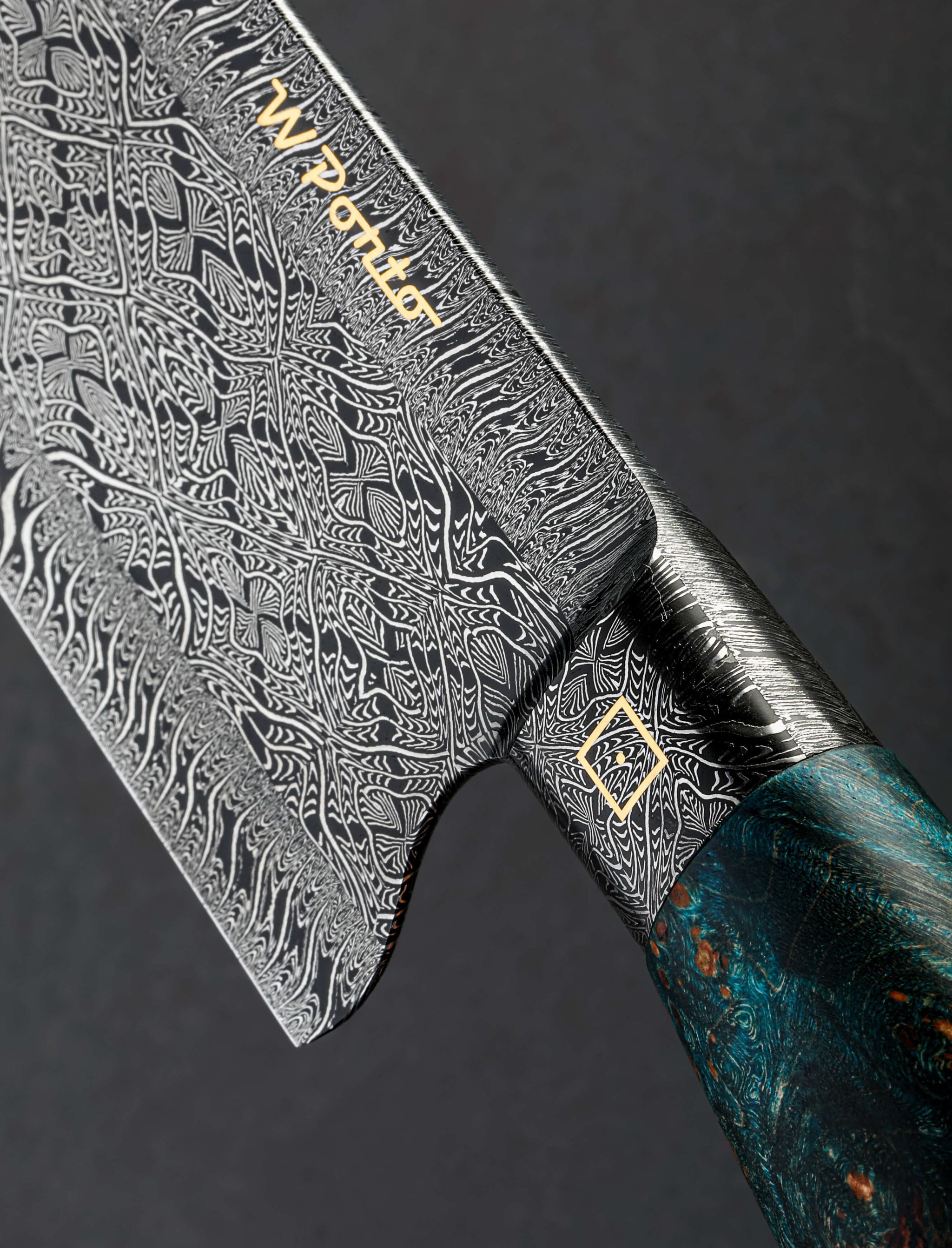 William Porto - Brazil Chef & Gyuto Golden Aqua Chef 226mm