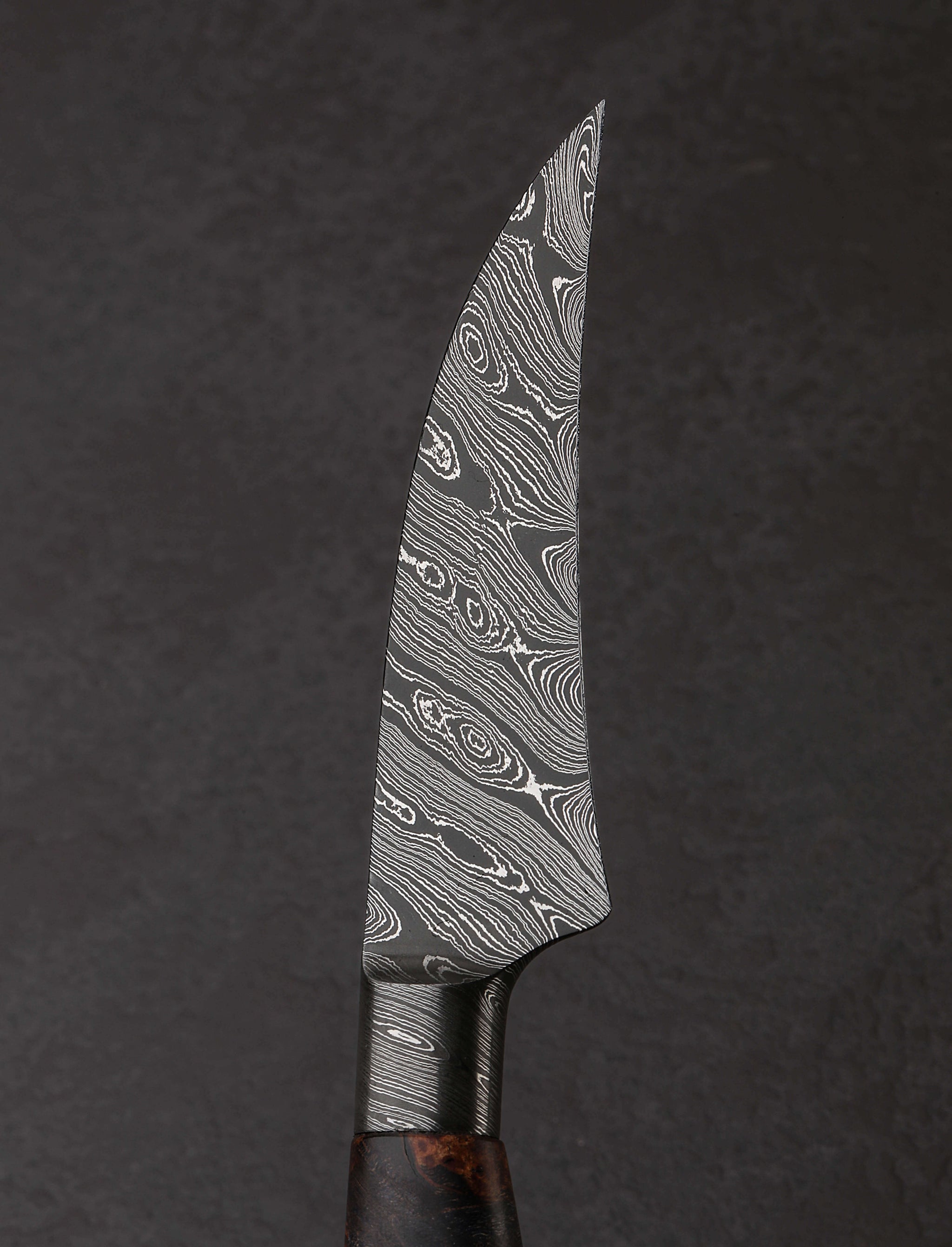 William Porto - Brazil Paring & Peeling Damascus Bird's Beak Parer 85mm