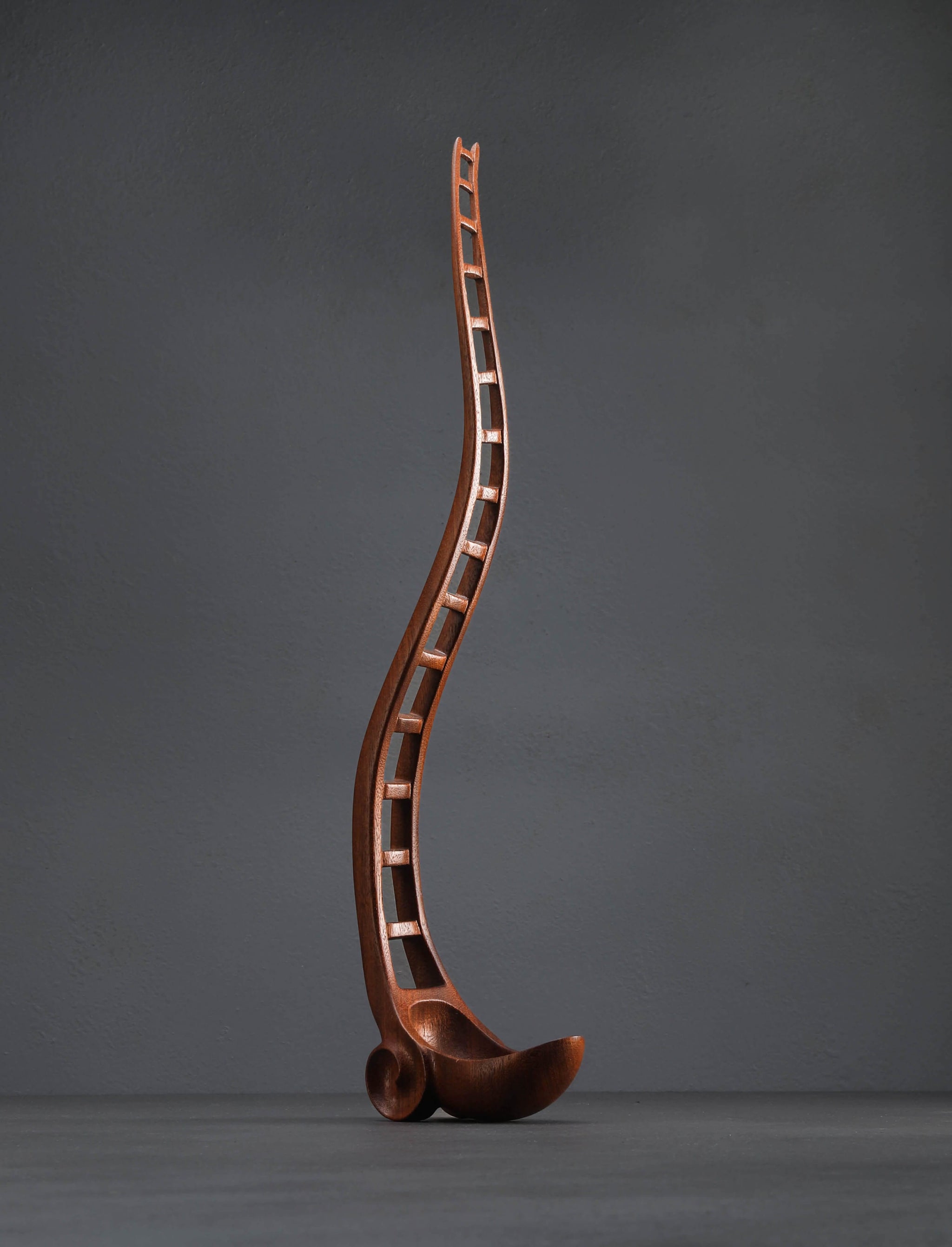 Terry Widner, Spoontaneous - Florida Serving LadderBack Spoon