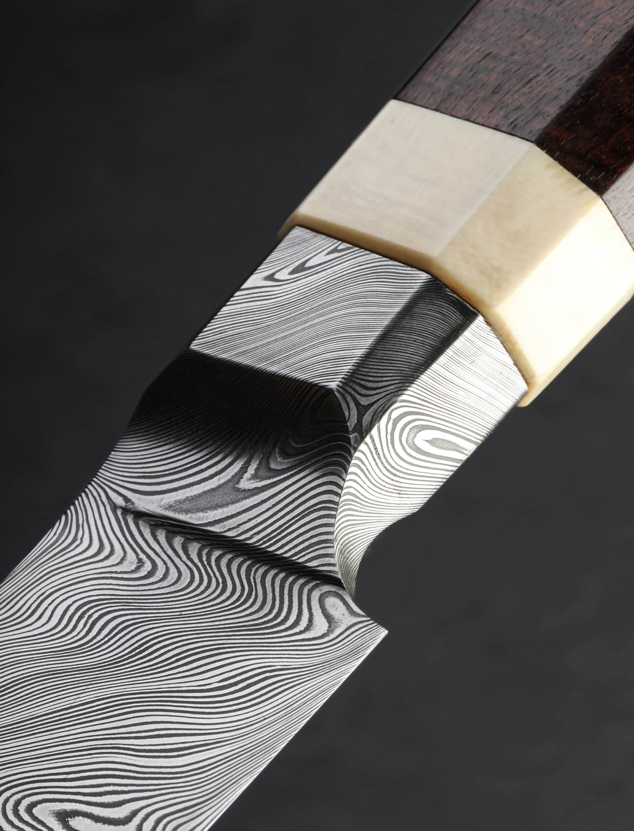 Casey Vilensky - Vancouver Slicer & Sujihiki Damasteel Yanagiba 227mm