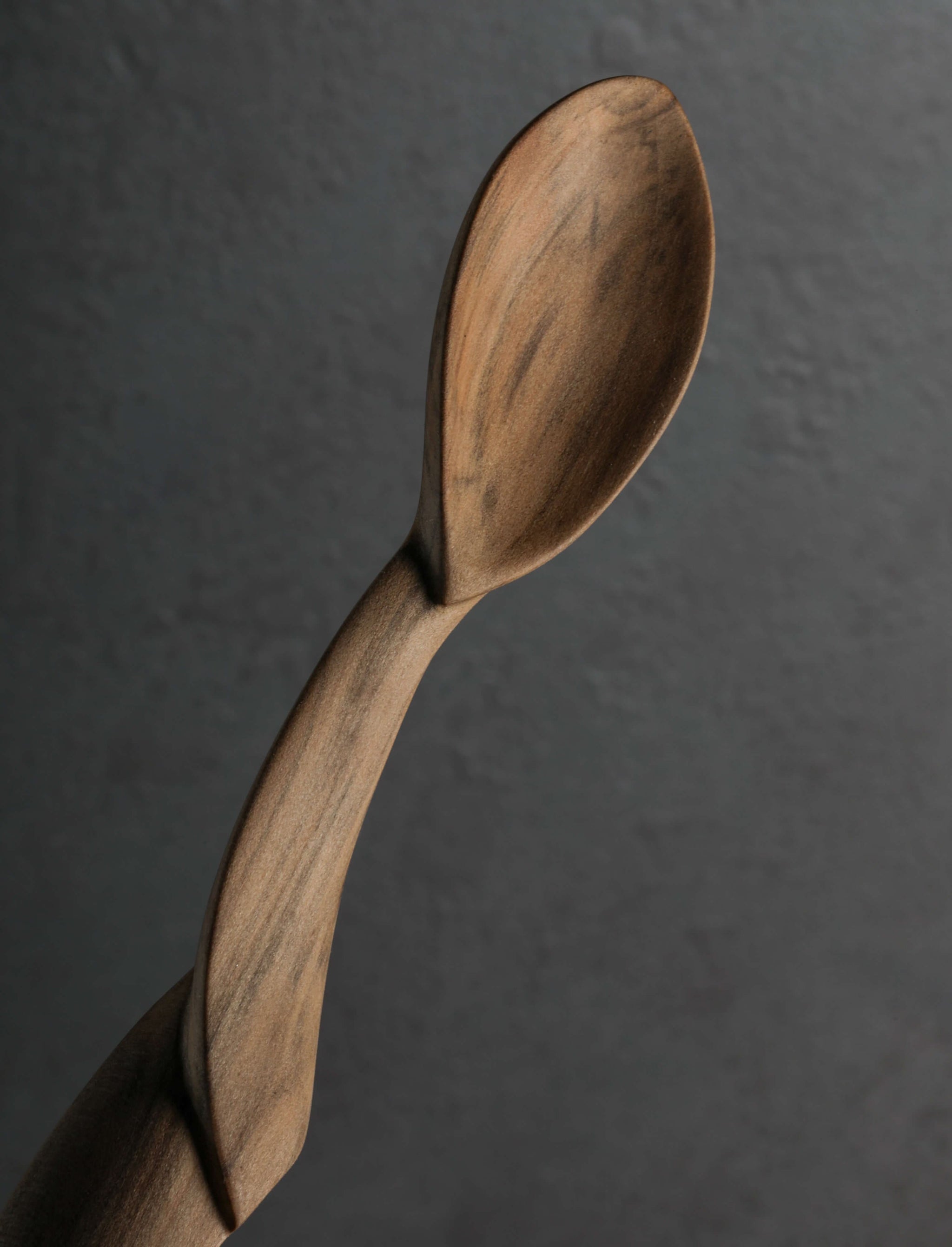 Terry Widner, Spoontaneous - Florida Spoons, Ladles & Scoops Folded Spoon