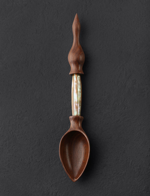 Terry Widner, Spoontaneous - Florida Spoons, Ladles & Scoops M.O.P. Spoon