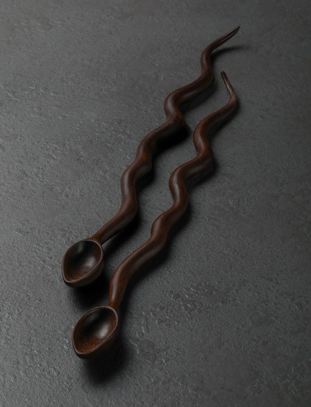 Terry Widner, Spoontaneous - Florida Spoons, Ladles & Scoops Twin Snakes