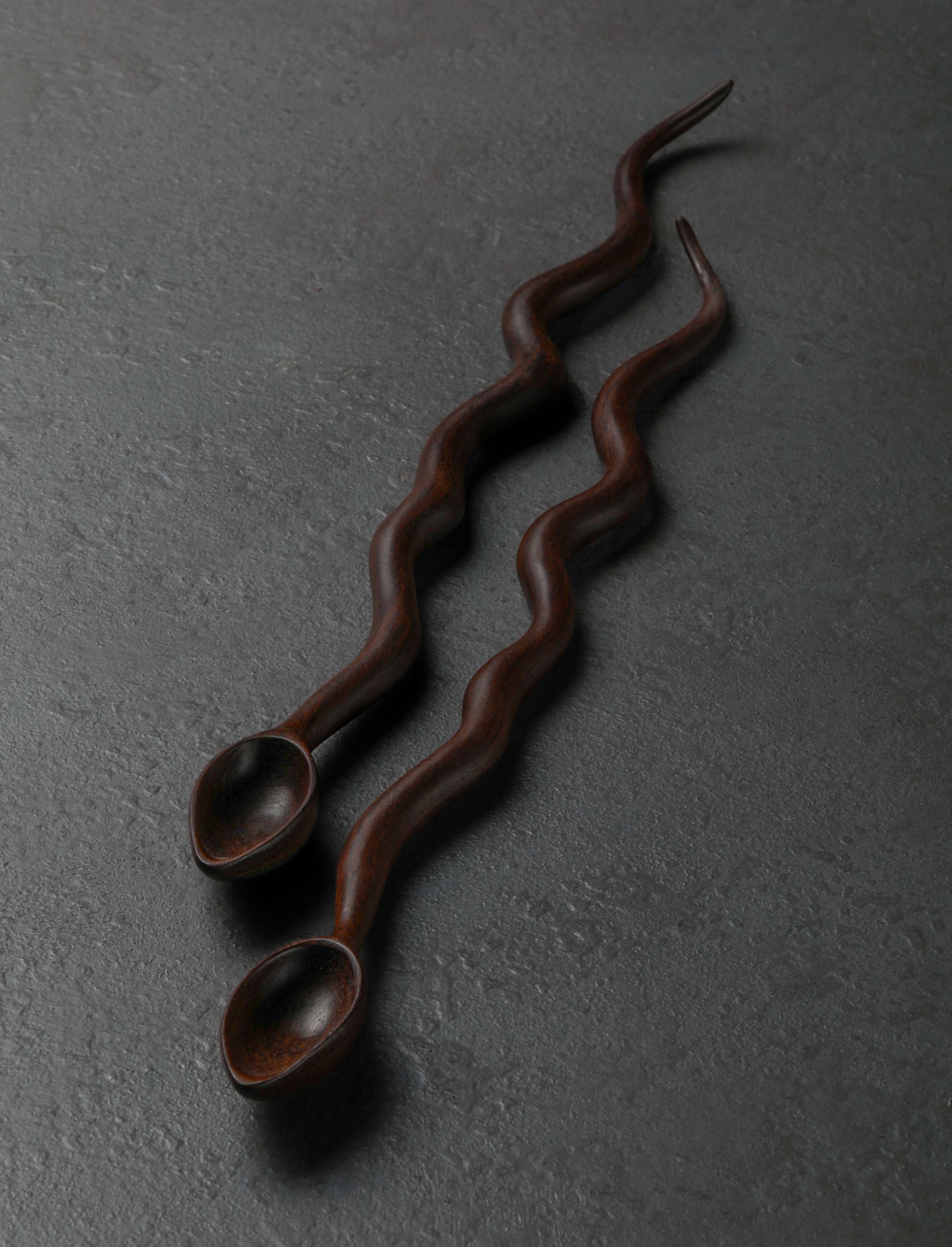 Terry Widner, Spoontaneous - Florida Spoons, Ladles & Scoops Twin Snakes