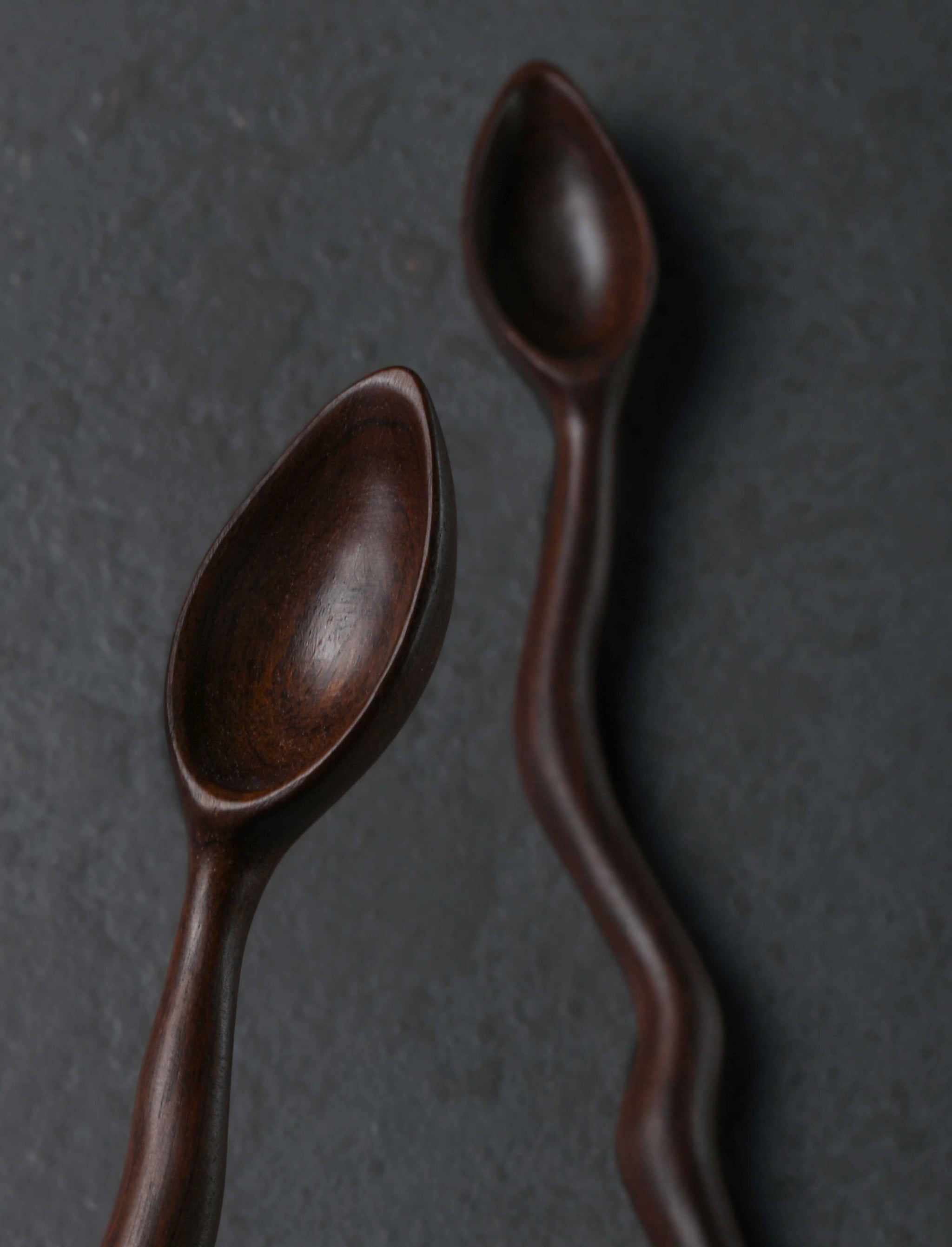 Terry Widner, Spoontaneous - Florida Spoons, Ladles & Scoops Twin Snakes