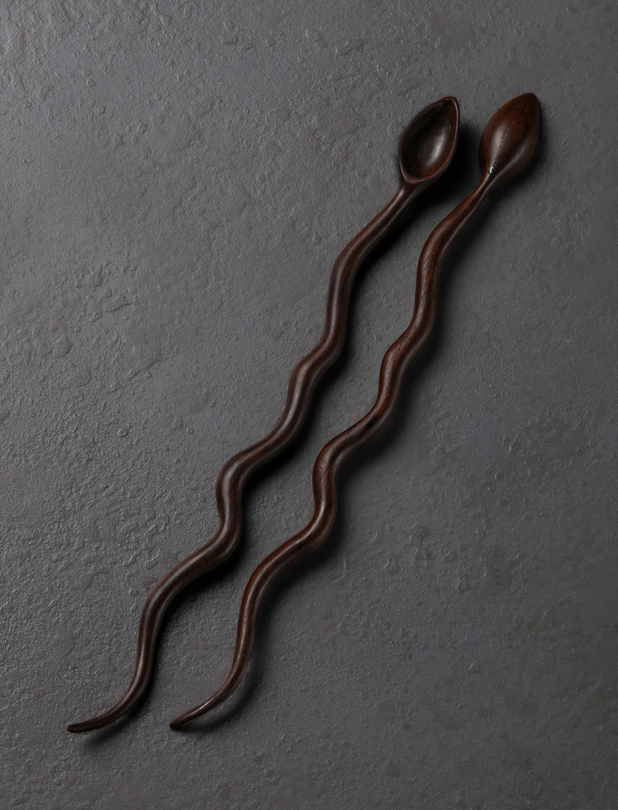 Terry Widner, Spoontaneous - Florida Spoons, Ladles & Scoops Twin Snakes