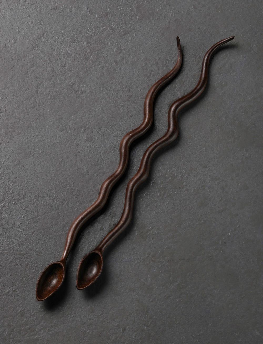 Terry Widner, Spoontaneous - Florida Spoons, Ladles & Scoops Twin Snakes