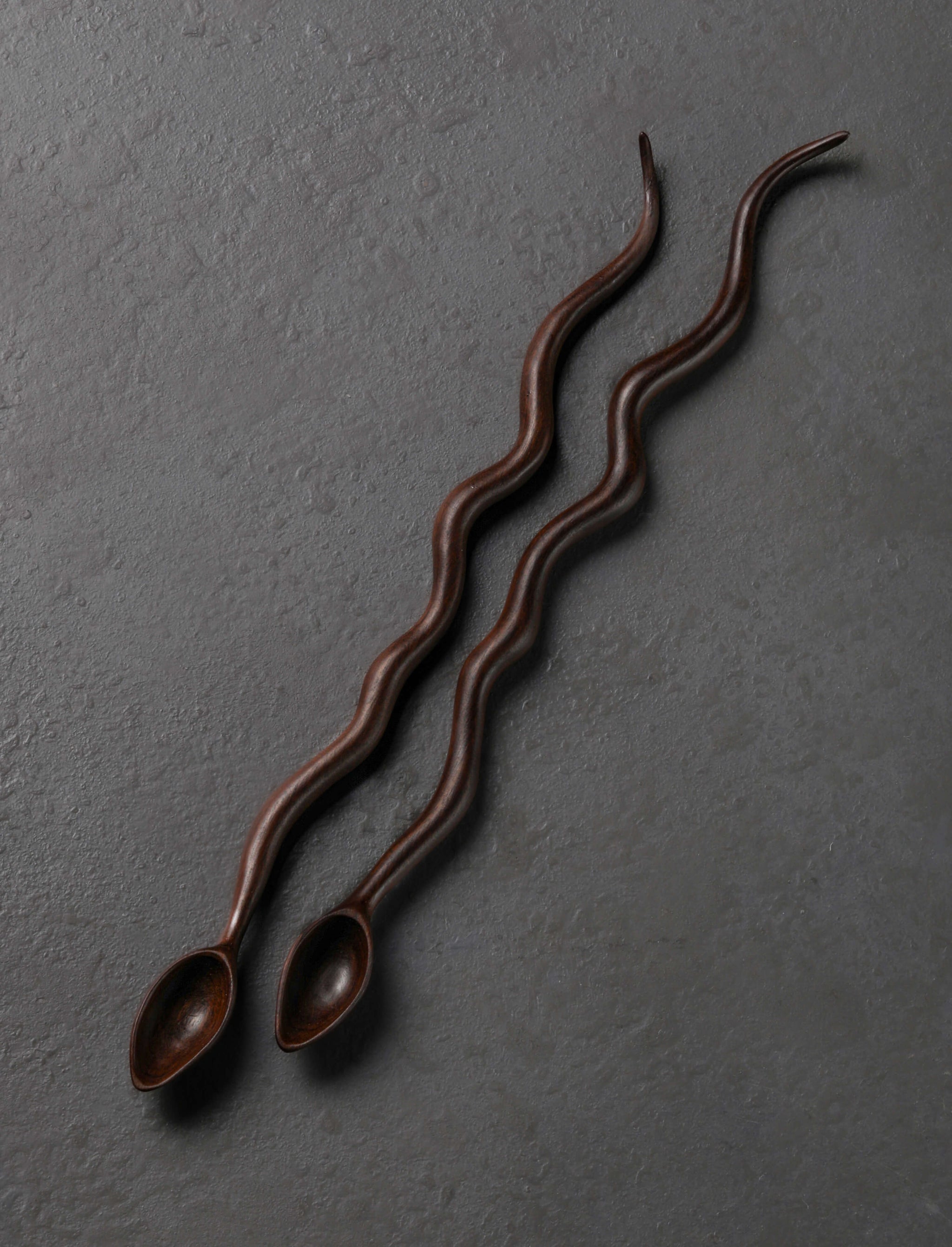 Terry Widner, Spoontaneous - Florida Spoons, Ladles & Scoops Twin Snakes
