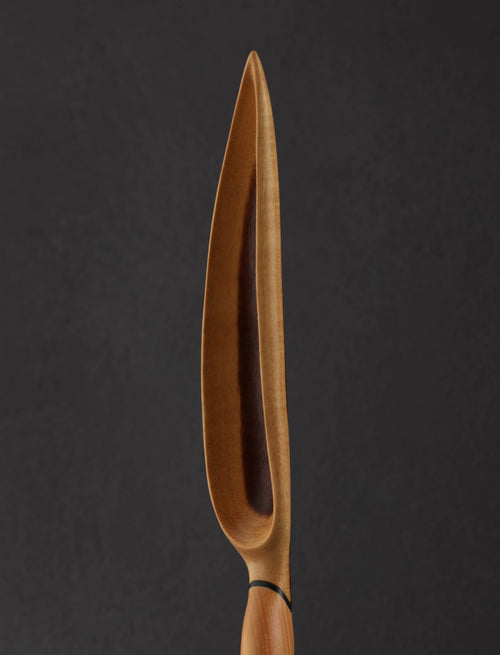Terry Widner, Spoontaneous - Florida Heliconia Spoon